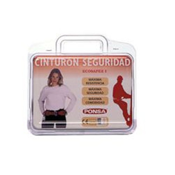 Arn&eacute;s de seguridad.