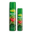 BRILLO  PREMIUM 335cc  ANTIALERG&Eacute;NICO